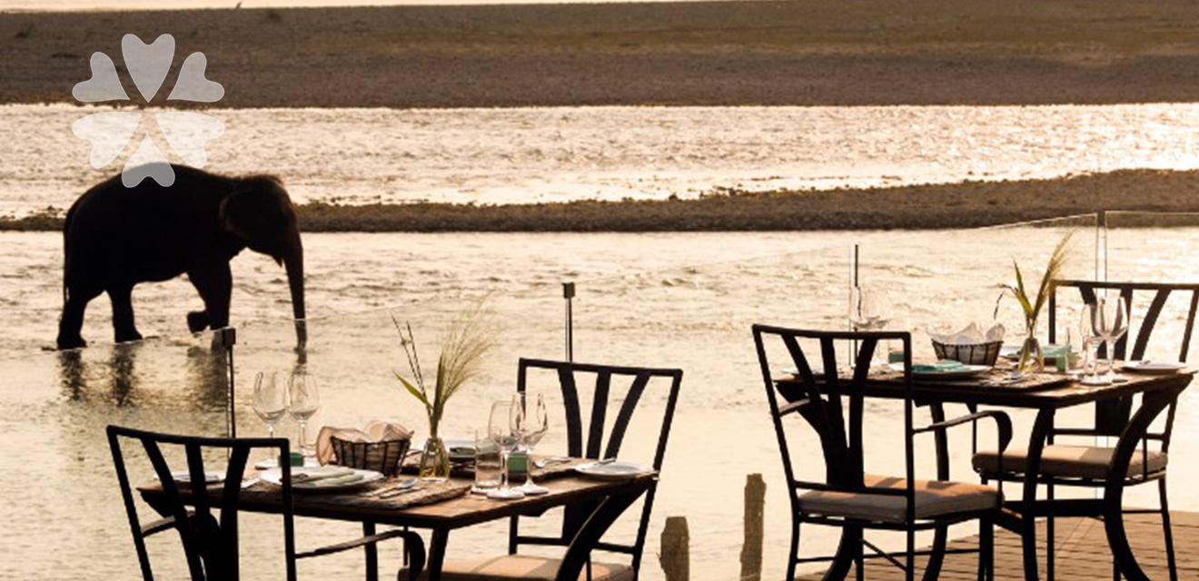 Meghauli Serai Lodge