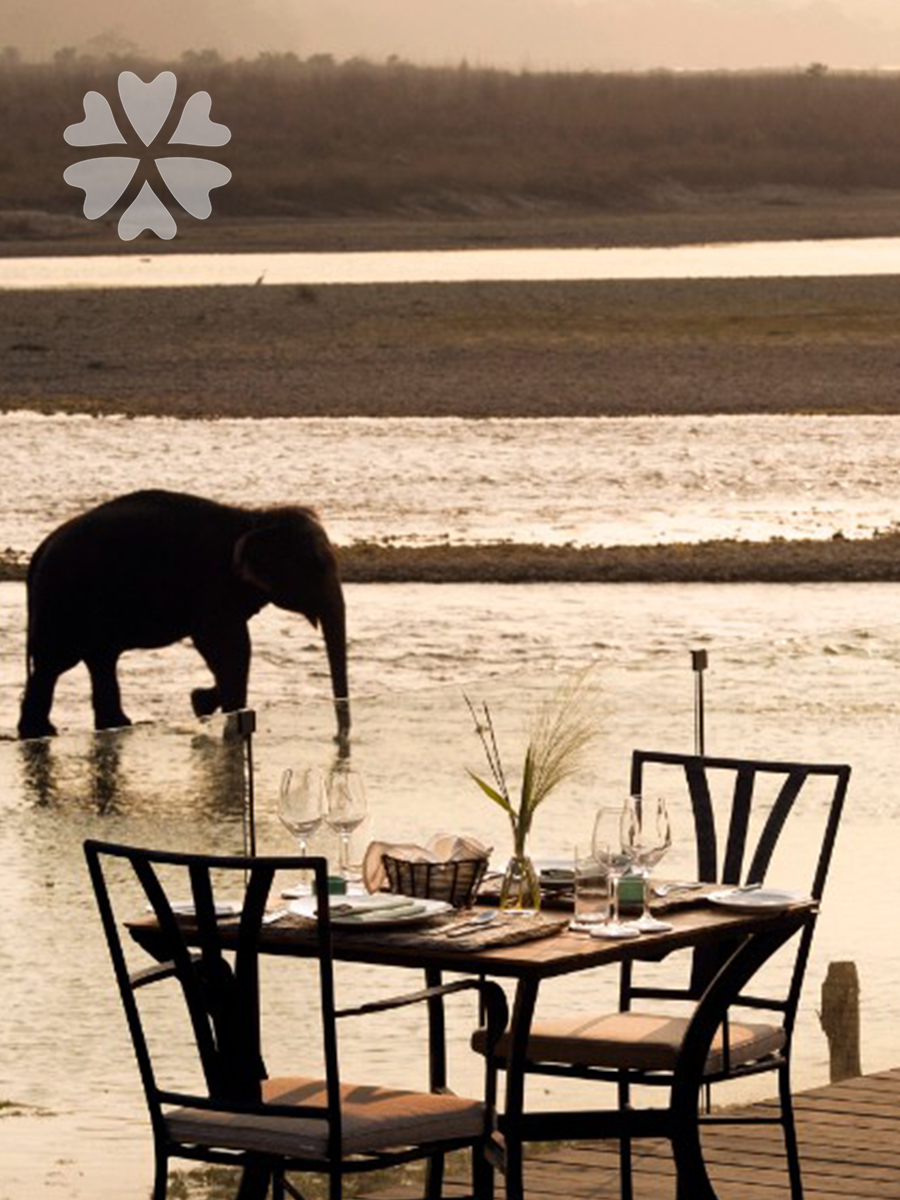 Meghauli Serai Lodge